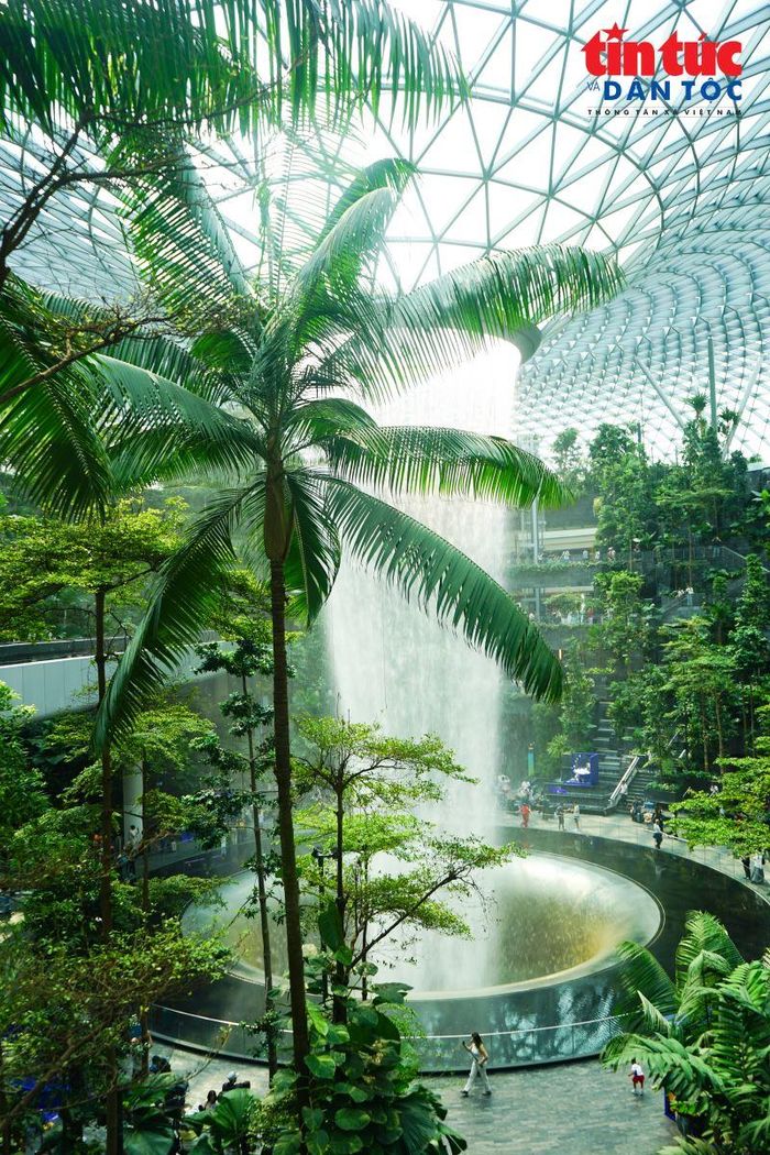 Với sự kết hợp giữa kiến trúc, cảnh quan, công nghệ và giải pháp môi trường, Jewel Rain Vortex đã trở thành một trong những hình ảnh biểu tượng của Jewel Changi, góp phần tạo nên sức hút riêng cho sân bay Singapore.