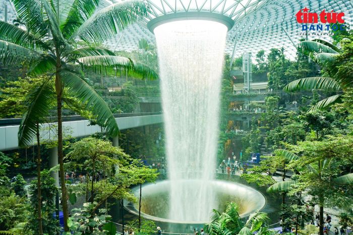 Dòng thác cao 40 mét nổi bật dưới mái vòm kính, thu hút ánh nhìn của du khách ngay khi đặt chân đến Jewel Changi.