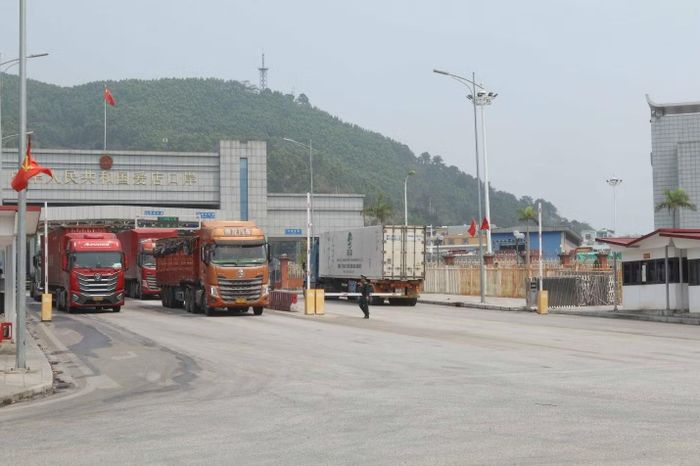  Phương tiện xuất nhập khẩu qua cửa khẩu song phương Chi Ma, Lạng Sơn.