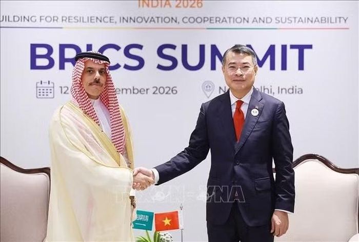 Thủ tướng Chính phủ Lê Minh Hưng gặp Bộ trưởng Ngoại giao Saudi Arabia Faisal bin Farhan Al Saud.