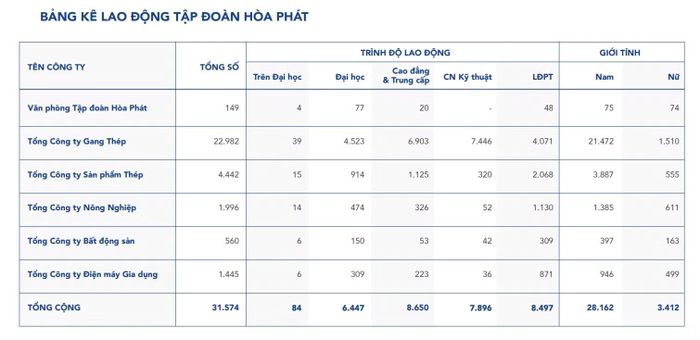 Lực lượng lao động tại Hoà Phát năm 2025. Nguồn: Báo cáo thường niên Hoà Phát.