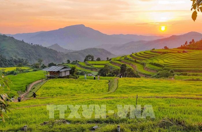 Ánh chiều phủ xuống những thửa ruộng bậc thang Pu Nhi tạo nên khung cảnh mộc mạc, bình yên. Ảnh: Xuân Tư - TTXVN 