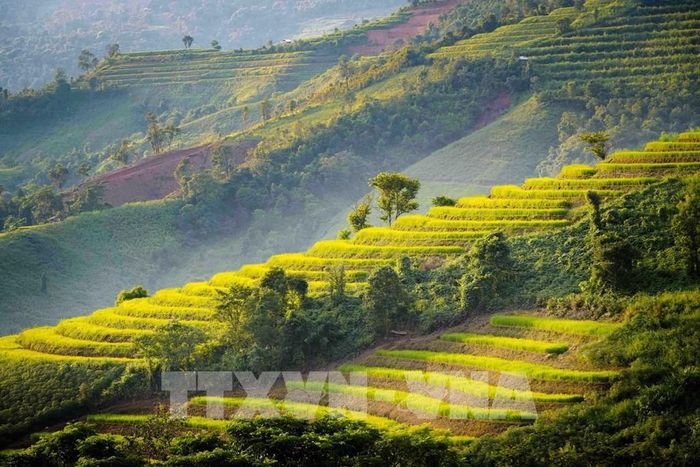 Ruộng bậc thang tầng tầng, lớp lớp theo sườn núi. Ảnh: Xuân Tư - TTXVN 