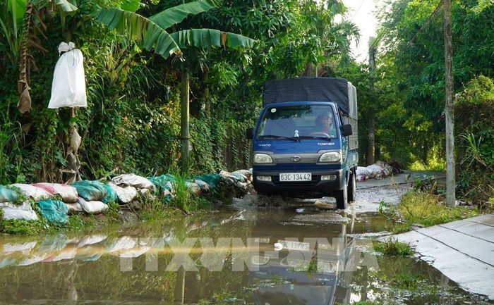 Triều cường đầu tháng 8 âm lịch kết hợp mưa lớn gây ngập đường giao thông ở xã Thanh Hưng, tỉnh Đồng Tháp. Ảnh: Nhựt An - TTXVN