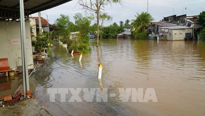 Triều cường đầu tháng 8 âm lịch kết hợp mưa lớn mấy ngày qua gây ngập đường giao thông tại xã Bình Hàng Trung, tỉnh Đồng Tháp. Ảnh: Nhựt An - TTXVN