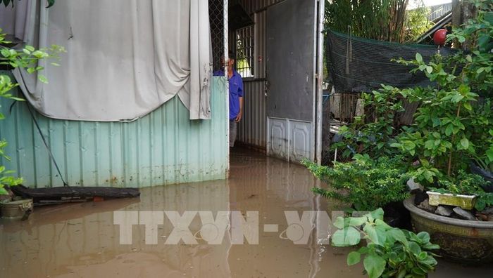 Triều cường đầu tháng 8 âm lịch kết hợp mưa lớn mấy ngày qua gây ngập nhà người dân ở xã Bình Hàng Trung, tỉnh Đồng Tháp. Ảnh: Nhựt An - TTXVN