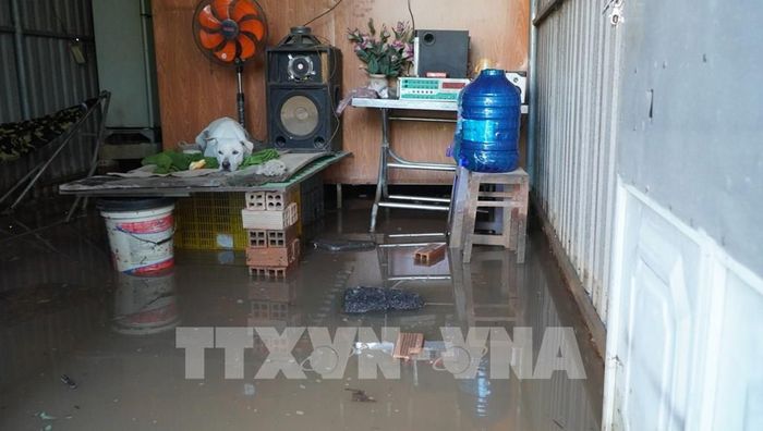 Triều cường đầu tháng 8 âm lịch kết hợp mưa lớn mấy ngày qua gây ngập nhà người dân ở xã Bình Hàng Trung, tỉnh Đồng Tháp. Ảnh: Nhựt An - TTXVN