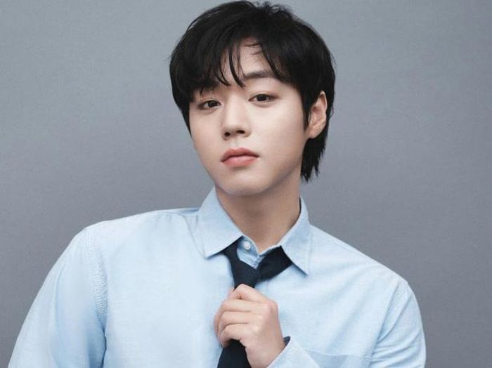 Park Ji Hoon đang được đề nghị đảm nhận vai nam chính Choi Woo Sung trong phim tình cảm mới.