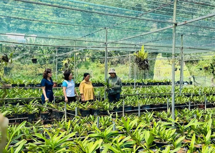 Chị Triệu Thị Đào chia sẻ kinh nghiệm trồng, chăm sóc hoa lan với hội viên phụ nữ trong xóm.
