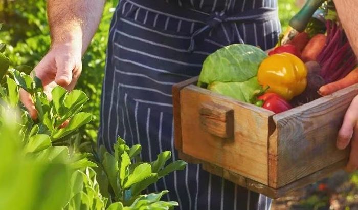 Mỗi mắt xích đều góp phần tạo nên câu chuyện phía sau món ăn