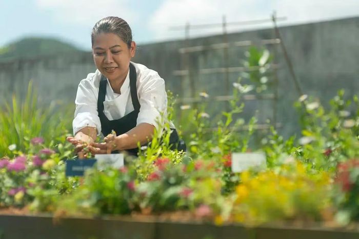 Nguồn gốc nguyên liệu đang trở thành một phần giá trị của món ăn
