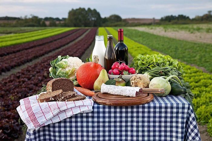 Farm-to-table kết nối nông dân, nhà hàng và thực khách trong một chuỗi giá trị khép kín