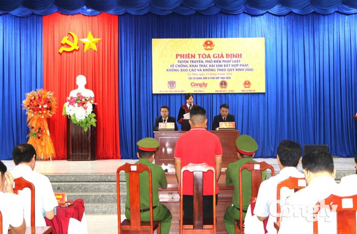 Quang cảnh phiên tòa giả định