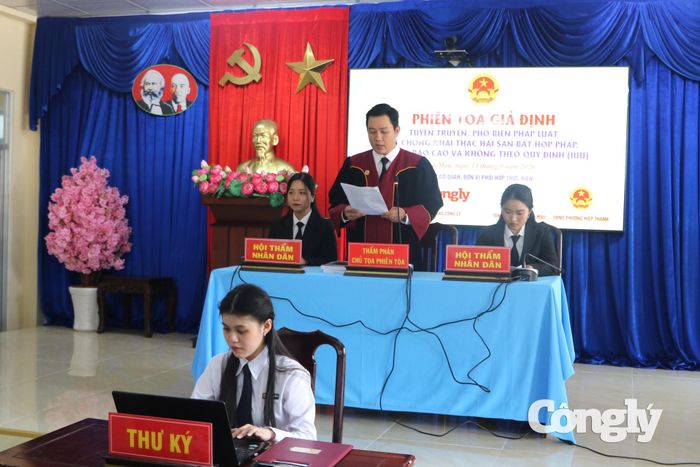 HĐXX tại phiên tòa giả định