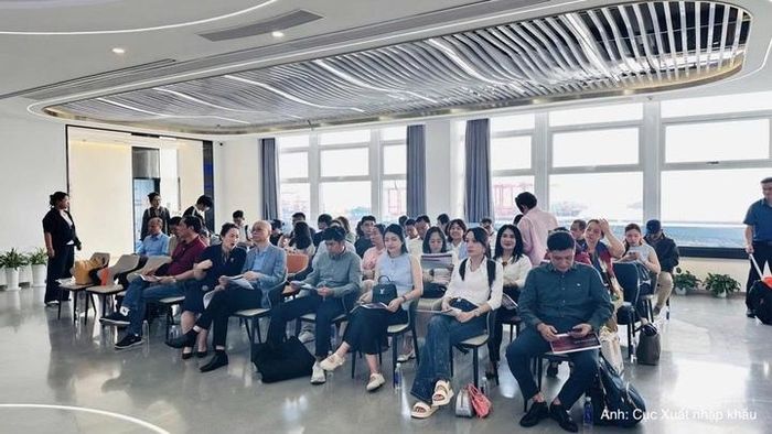  Đoàn công tác tìm hiểu mô hình hoạt động và khai thác Cảng Mai Sơn.