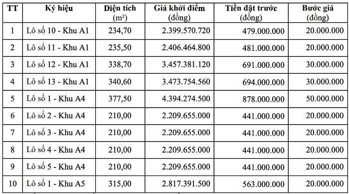 Thông tin các thửa đất mang ra đấu giá. (Ảnh chụp màn hình từ Thông báo).