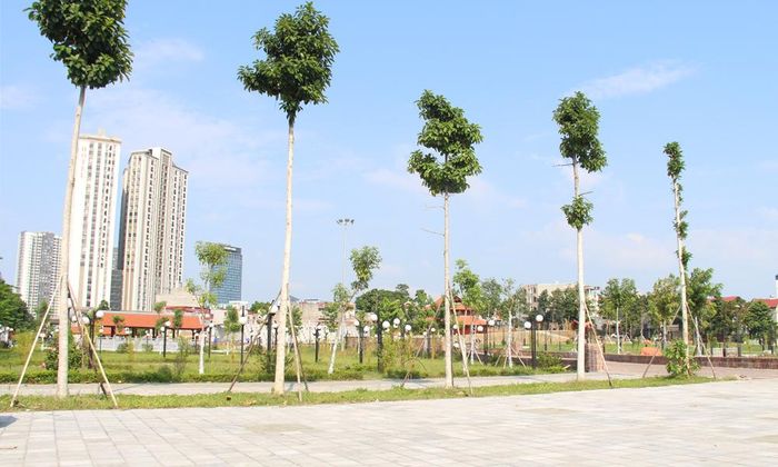 Khuôn viên cây xanh, sân dạo và một số hạng mục khác đã được hoàn thành từ giai đoạn đầu dự án.
