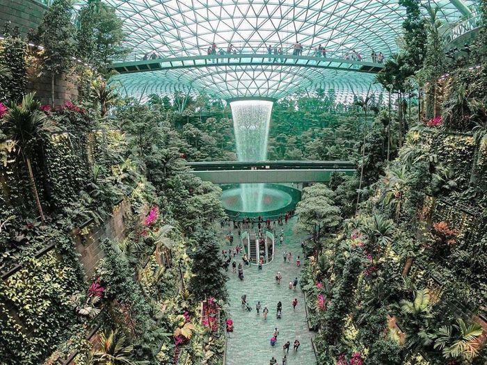 Một khu vườn trong sân bay quốc tế Changi.