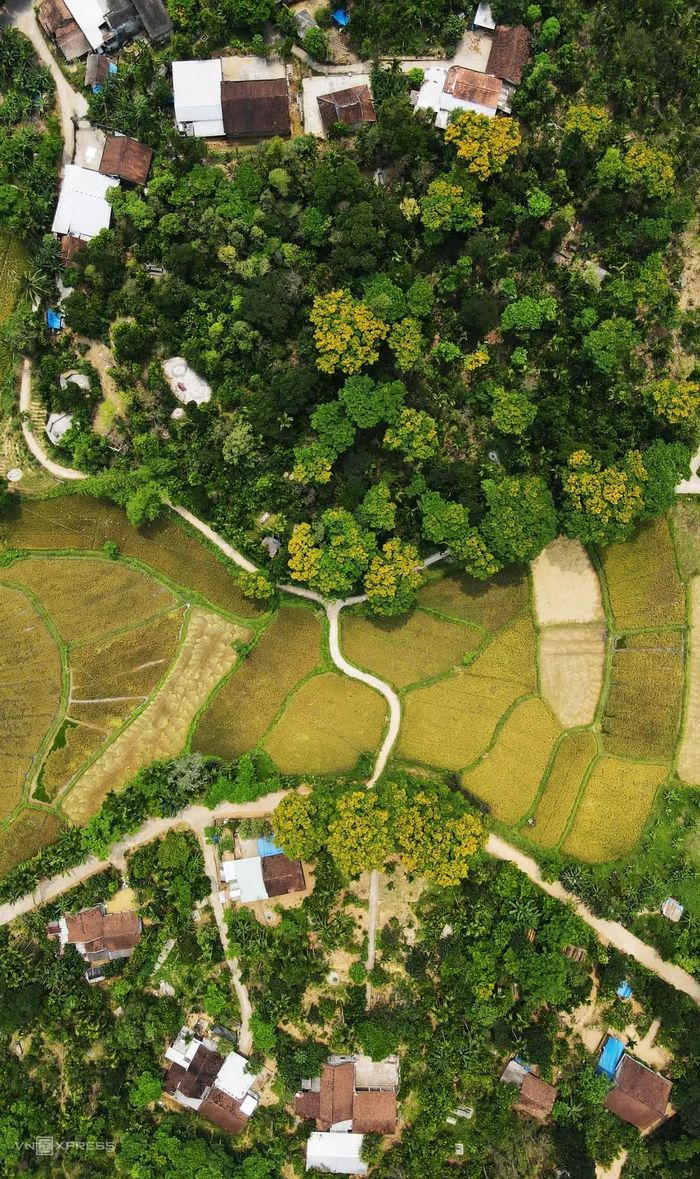 Một mảnh vườn quê Tiên Phước nhìn từ trên cao. Ảnh: Tư liệu