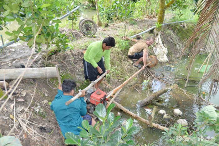 Người dân xã Mỹ Thành khẩn trương bơm nước chống úng cho vườn cây ăn trái.