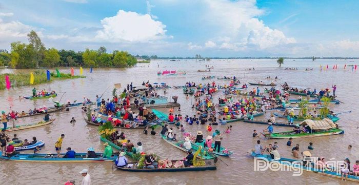 Nhiều hoạt động trải nghiệm mùa nước nổi với chủ đề “Hồng Ngự - Sắc nước vùng biên”.