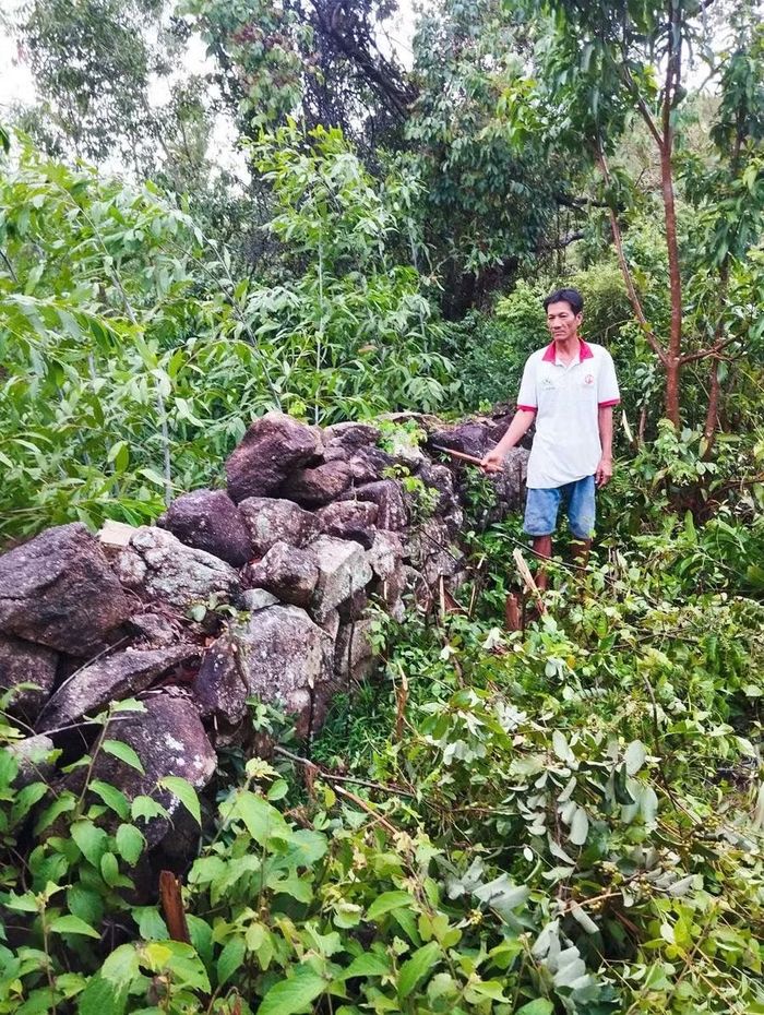  Ông Nguyễn Đình Phê (SN 1973, ở thôn Phú Ninh, xã Bình Dương) là người đã cùng với ông Nguyễn Văn Triều phát hiện lũy đá khi phát quang cây cối. Ảnh: V.M.H 