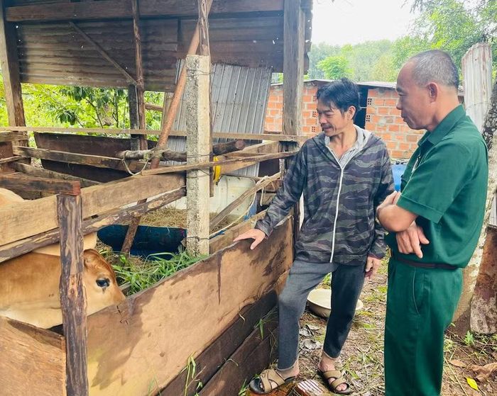 Hội Cựu chiến binh xã Chư Păh hỗ trợ sinh kế, giúp hội viên khó khăn vươn lên. Ảnh: P.D