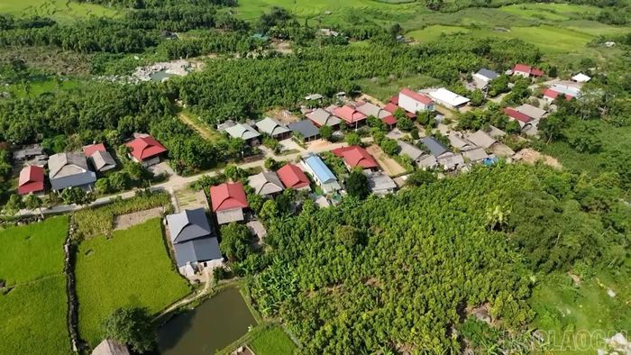 Thôn Bản Lùng được định hướng phát triển trở thành khu du lịch cộng đồng trong thời gian tới.