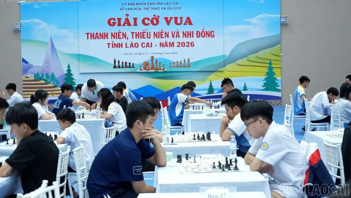Giải được tổ chức theo hệ Thụy Sĩ, các kỳ thủ thi đấu từ 7 đến 9 ván tùy nội dung.