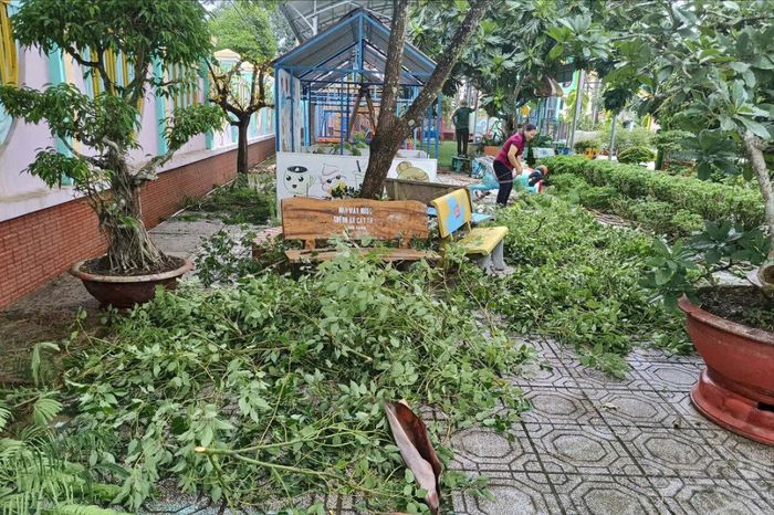 Trường Mầm non Phù Mỹ (xã Cát Tiên) chủ động phát quang bụi rậm, xử lý triệt để các vật chứa nước đọng