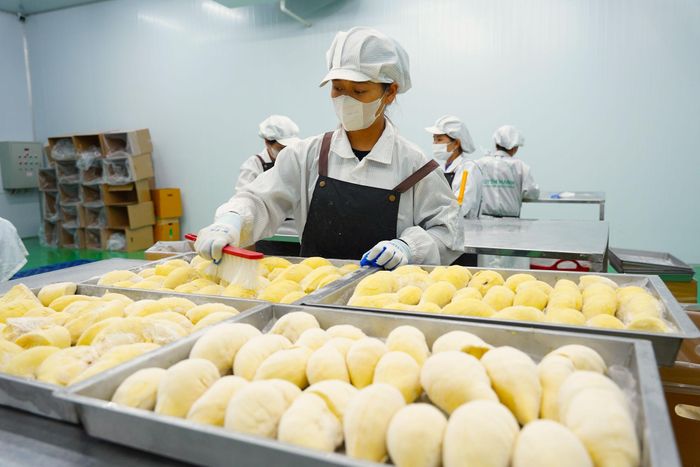 Sản phẩm đã cấp đông được kiểm tra kỹ trước khi đóng gói, góp phần bảo đảm chất lượng thành phẩm