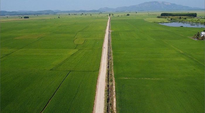 Giao thông nội đồng được UBND xã Bắc Ruộng đầu tư đồng bộ giúp hoạt động sản xuất, vận chuyển hàng hoá, nông sản của người dân thuận lợi hơn