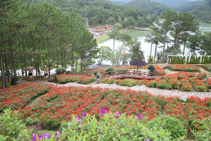 Festival Hoa là một sự kiện văn hóa - du lịch góp phần quảng bá thương hiệu địa phương, kích cầu du lịch