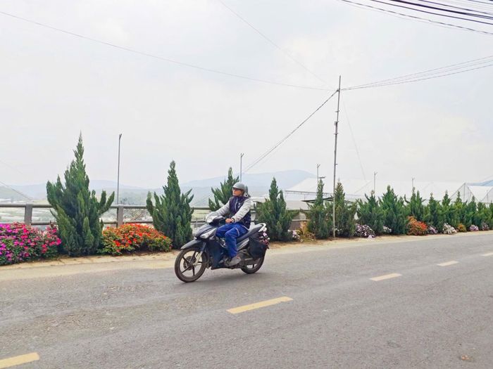 Phường Xuân Hương - Đà Lạt đẩy mạnh triển khai các tuyến đường hoa trên địa bàn khu dân cư