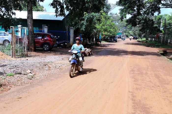 Sơn Điền là xã vùng đặc biệt khó khăn của tỉnh Lâm Đồng và lượng rác thải phát sinh ít, bãi rác ở xa nên khó tìm được đơn vị cung ứng