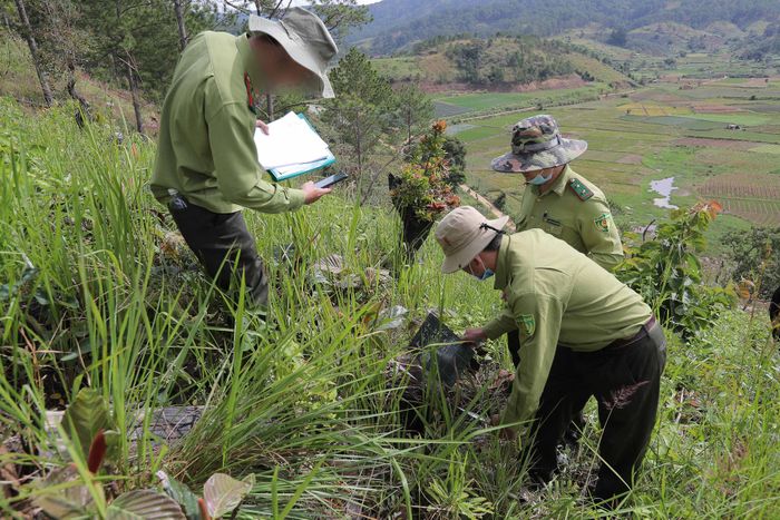 Sở Nông nghiệp và Môi trường tỉnh đánh giá tình trạng vi phạm Luật Lâm nghiệp vẫn tăng, cho thấy công tác lãnh đạo, chỉ đạo ở một số đơn vị chưa thật sự quyết liệt, chưa có giải pháp xử lý triệt để