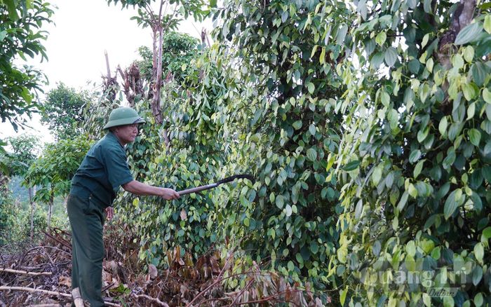 Mô hình kinh tế tổng hợp của ông Phan Xuân Thủy - Ảnh: C.H