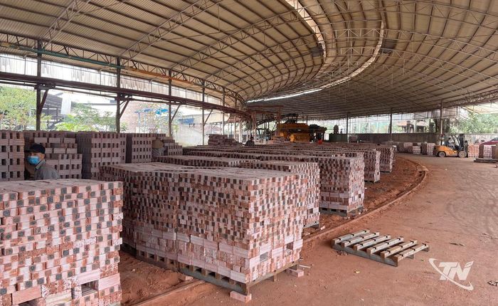 Công ty TNHH Bắc Đại Tây Dương tạo việc làm cho nhiều lao động địa phương.