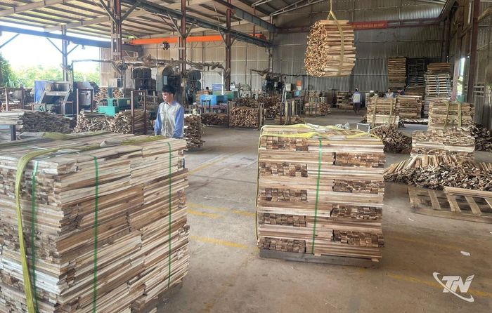 Công ty Lộc Thịnh (có địa chỉ tại xã Phú Thịnh) chuyên chế biến gỗ xuất khẩu.