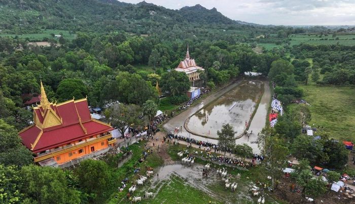 Toàn cảnh sân đua bò chùa Rô nhìn từ trên cao.