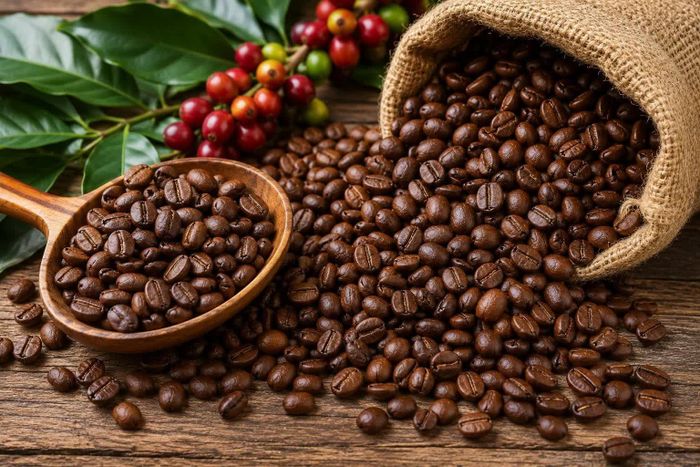 Giá cà phê hôm nay giảm nhẹ. Ảnh minh họa
