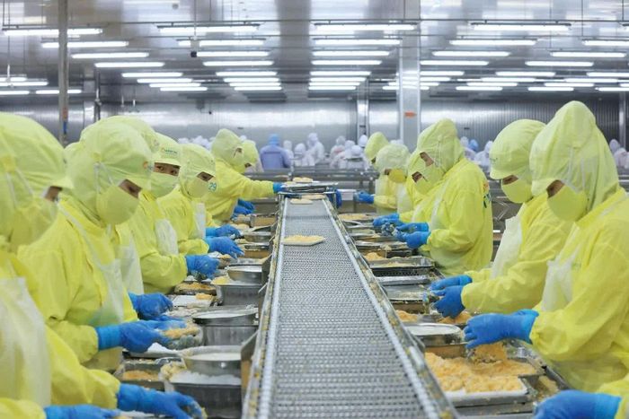 Chế biến tôm xuất khẩu tại Nhà máy Thủy sản Minh Phú. Ảnh: Đức Thanh