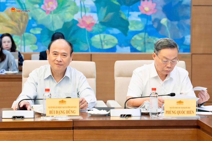 Nguyên Phó Chủ nhiệm Ủy ban Tài chính và Ngân sách Bùi Đặng Dũng tại tọa đàm. Ảnh: Hồ Long