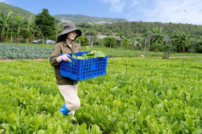 Từ đất, nguồn nước đến cây trồng, mỗi khâu trong quá trình sản xuất đều được kiểm soát chặt chẽ.