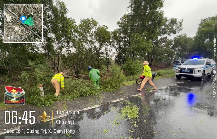 Lực lượng Cảnh sát Giao thông thu dọn cây xanh ngã đổ để đảm bảo an toàn giao thông trên Quốc lộ 1A.