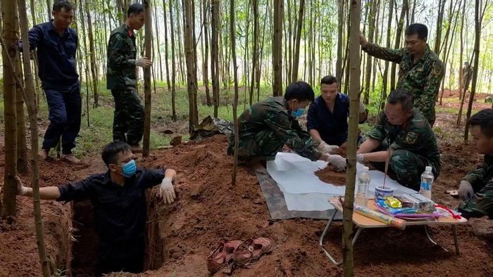 Tìm hài cốt liệt sĩ giữa rừng keo tràm ở Bãi Dinh, Quảng Trị,