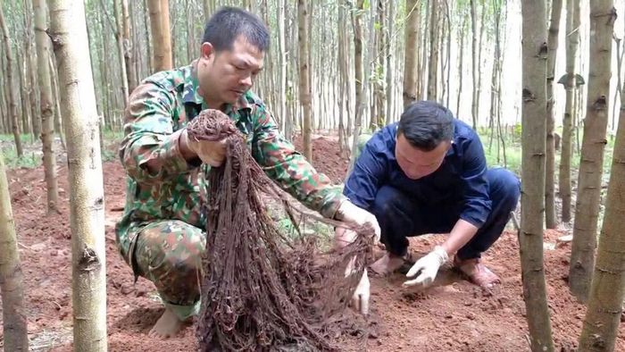 Di vật của liệt sĩ được tìm thấy.