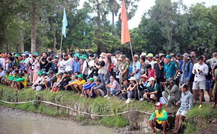 Đông đảo người dân, du khách cổ vũ ngày hội đua bò.