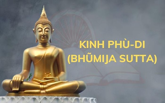 Hình minh họa. Nguồn: Internet
