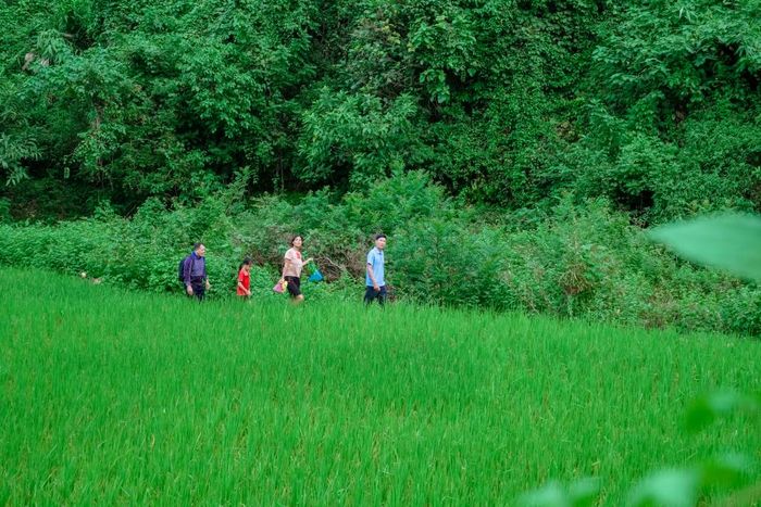 Khi thầy cô đến nơi, học sinh Triệu Mùi Chài và mẹ đang nhặt rau dại dưới bờ suối. Các thầy cô xuống suối gọi hai mẹ con về nhà để trò chuyện, vận động em tiếp tục đến trường.